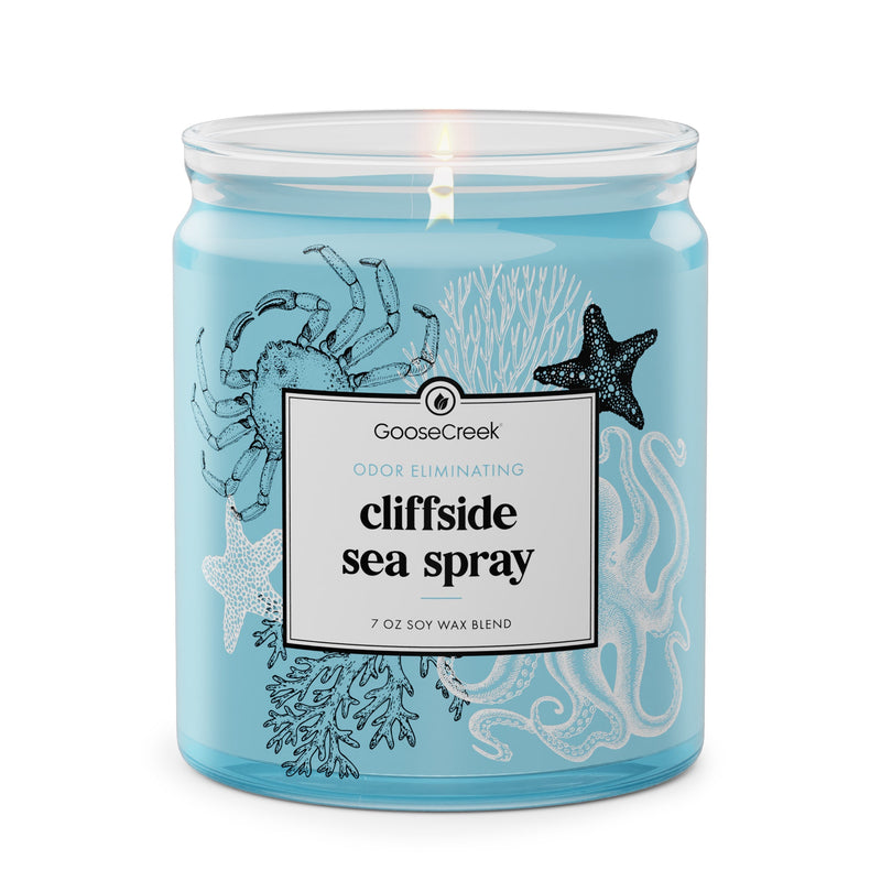 Cliffside Sea Spray Odor Eliminating 7oz Single Wick Candle R9