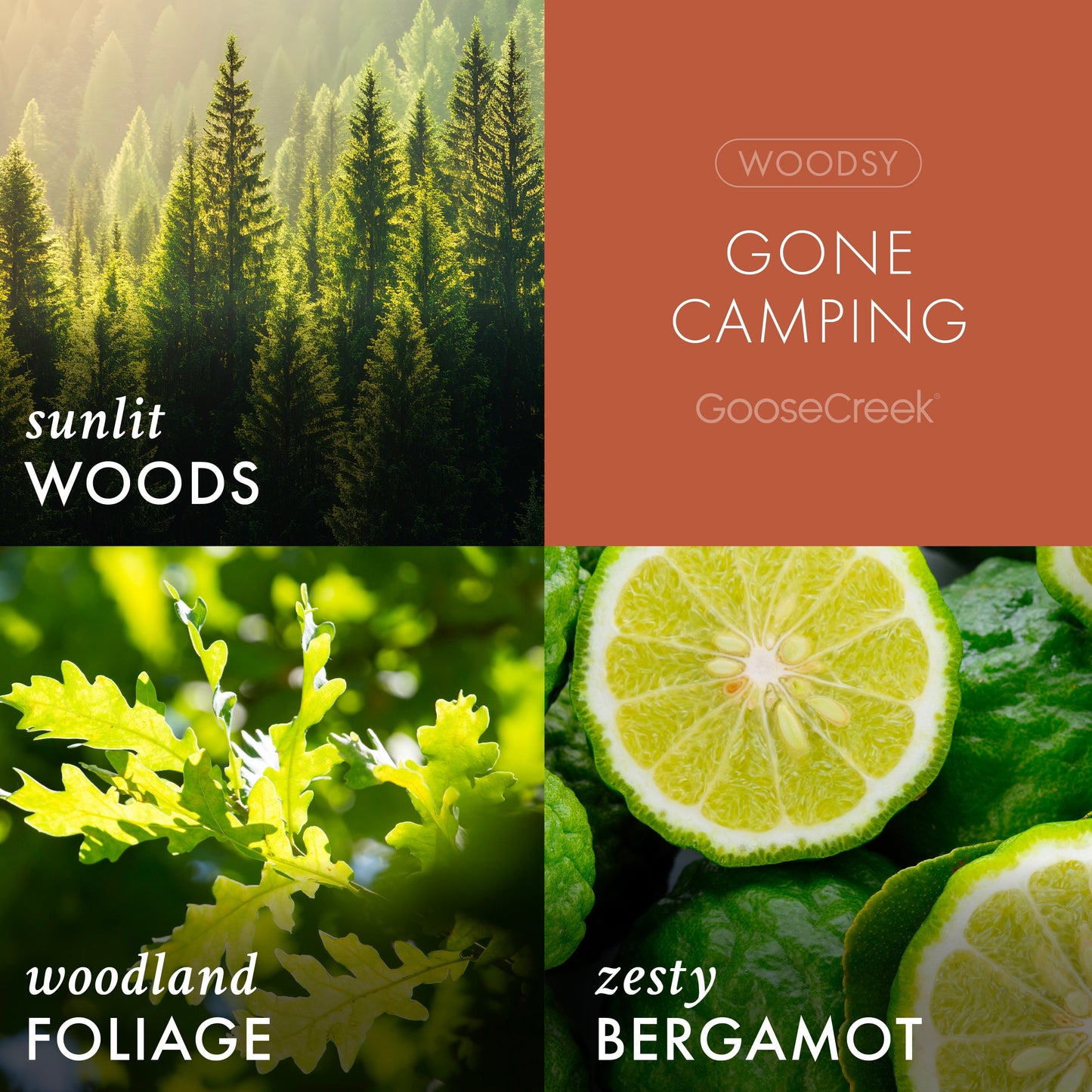Gone Camping Odor Eliminating Room Spray