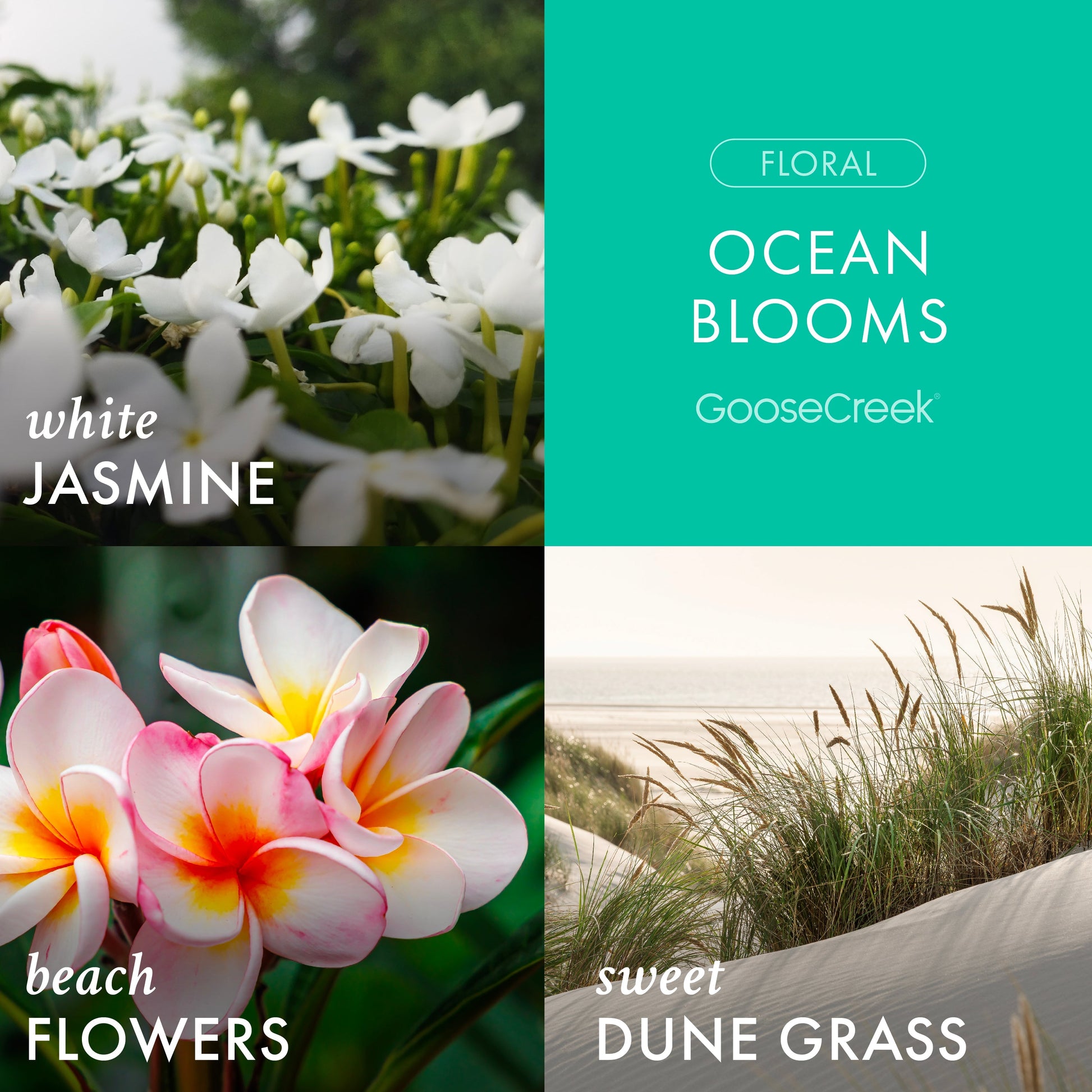 Ocean Blooms 3-Wick Candle