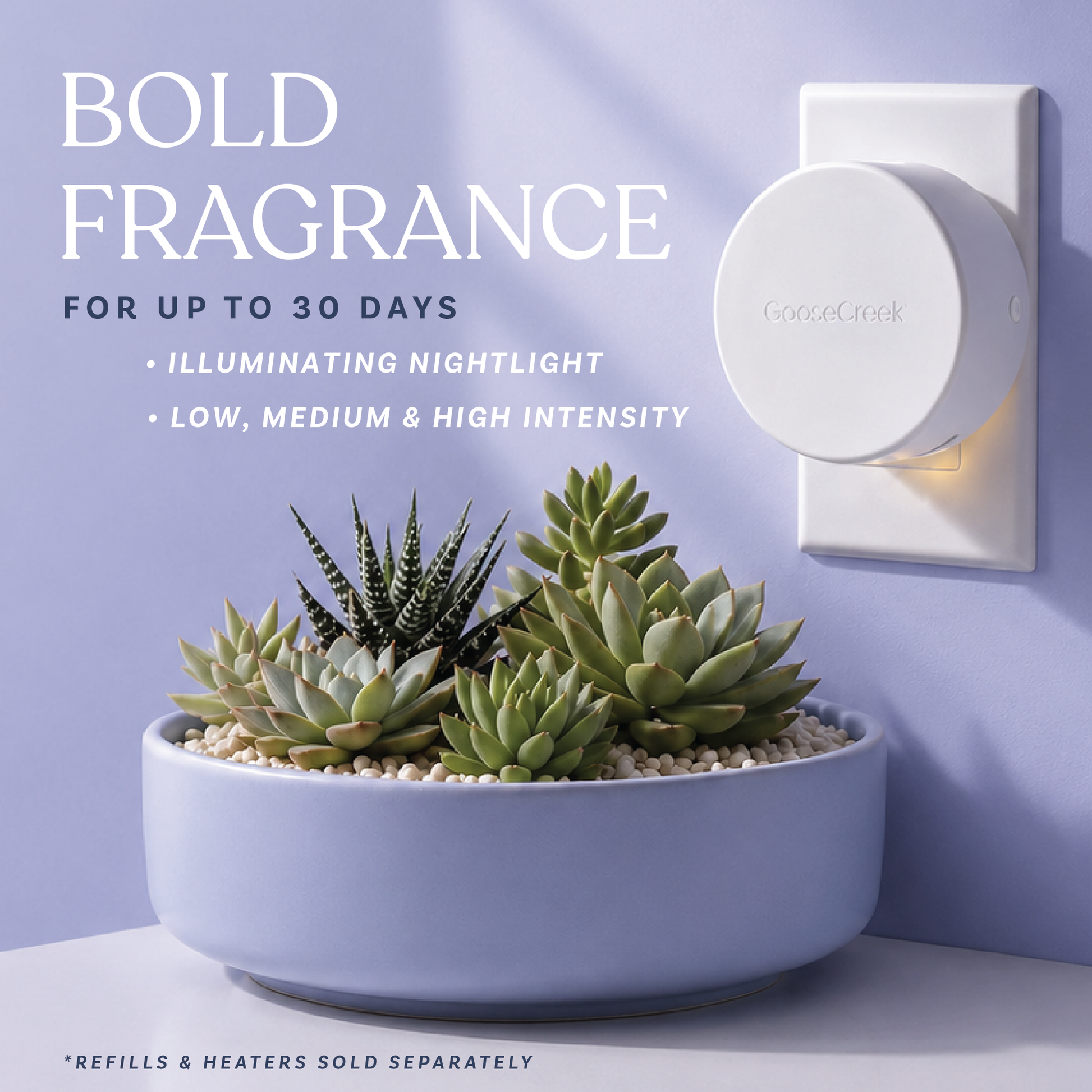 Teakwood Plug-in Refill